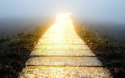 Essenz vor Rolle, Menschlichkeit vor Funktion