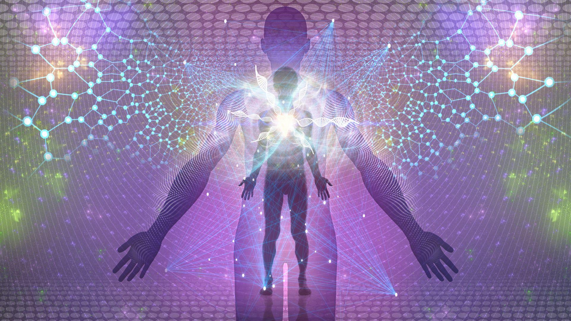 Der Mensch ist die Technologie