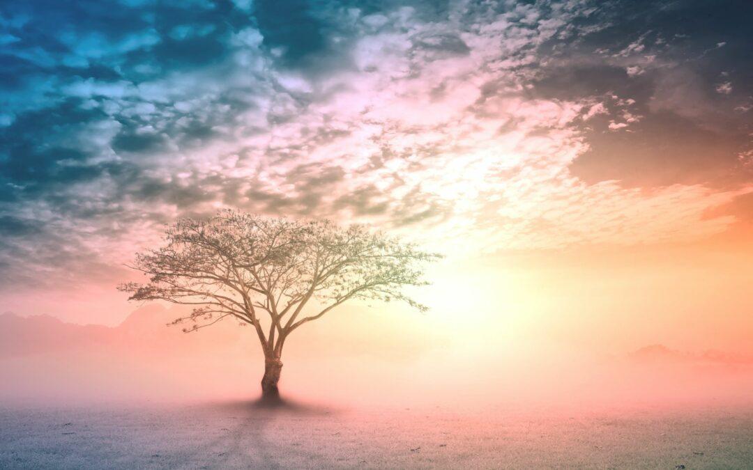 Die Realität unserer Glaubenssätze