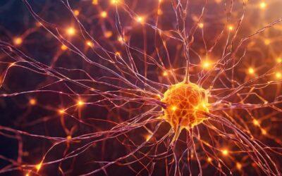 Gibt es noch normales Blut?