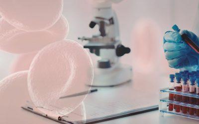 BESA versus Dunkelfeld-Vitalblut-Mikroskopie