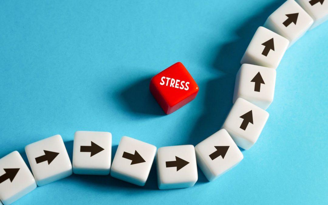 Wenn Stress den Körper fordert – 1/3